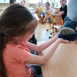 img_20230602_114333