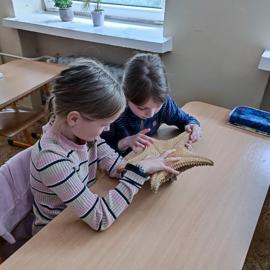 img_20230605_112740