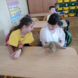 img_20230605_113331