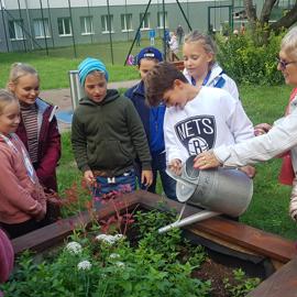 Prírodovedno-environmentálna oblasť výchovy v ŠKD