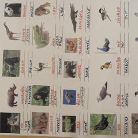 animals doplnte