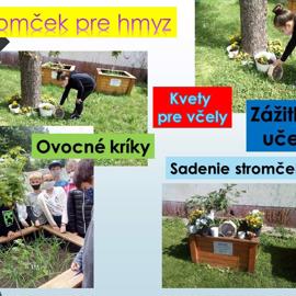 snimka14