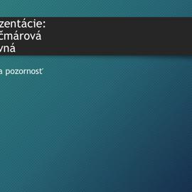 snimka12