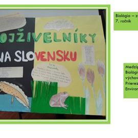 snimka9