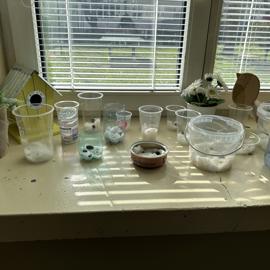 img-3585