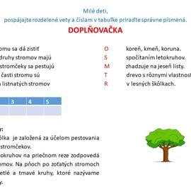 bezakovamarta