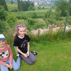 img_20230616_143355