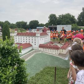 image_67188225