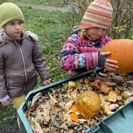 image_67506433-(1)