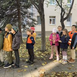 image_50433281