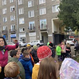 image_50436609-(1)