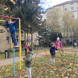 image_67197185