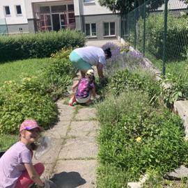 image_67220993-(2)