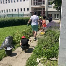 image_67238401-(1)