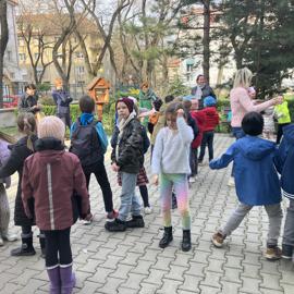 image_50446337