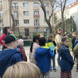 image_50458369