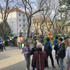 image_50725889