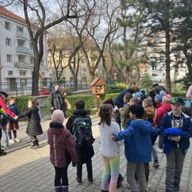 image_50771713