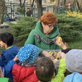 image_67517697