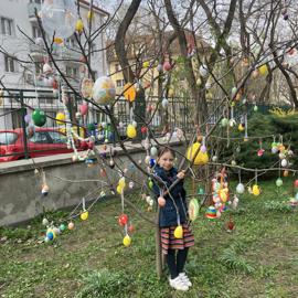 image_67525889