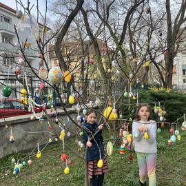 image_67533569