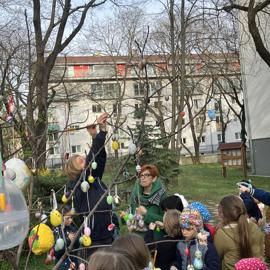 image_67537921