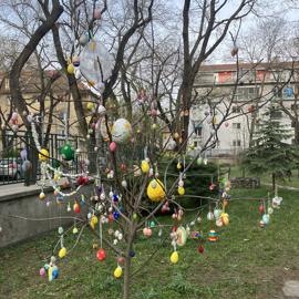 image_67543041-(1)