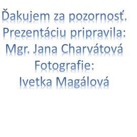 snimka8
