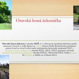 horak6