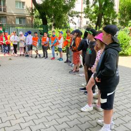 image_50439681
