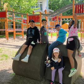 image_50749953