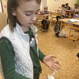 image_67214081