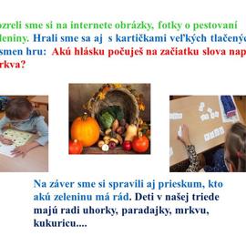 snimka5