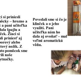 snimka9