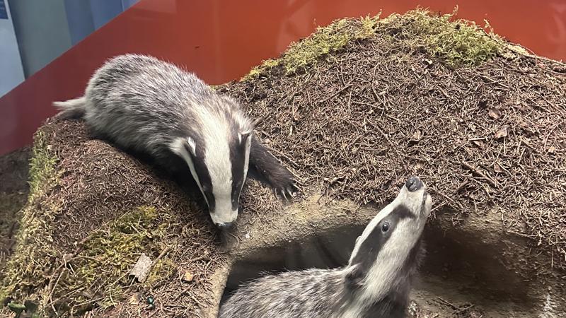 Bádateľské aktivity