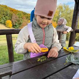 Bádateľské aktivity
