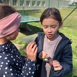 dd5ee778-6774-465b-a01b-6e4a2af853aa