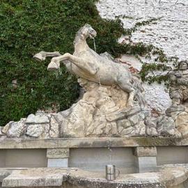 picture1-(13)