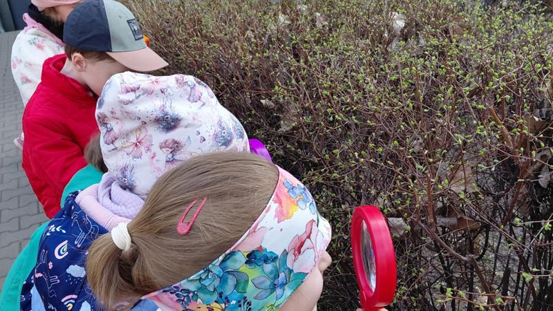 Pozorovanie zmien jarnej prírody II. oddelenie ŠKD