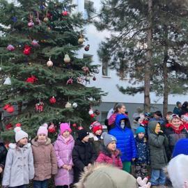 3b4aae56-91d3-4329-ba70-a8a87cb03e87