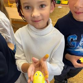 91a09817-6374-4e20-99fc-0ccc9431c1bd