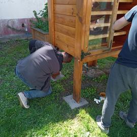 img_20260425_110202299_mfnr